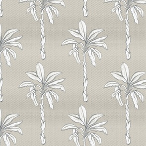 vintage palm trees on desert gray | medium