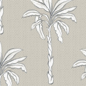 vintage palm trees on desert gray textured background | large