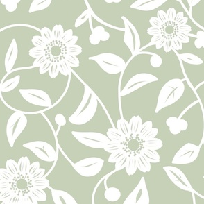 white  flowers on a pastel sage green background - large scale