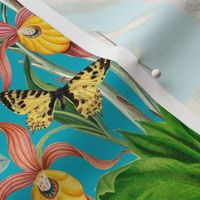 14" Exotic Jungle Beauty: A Vintage Botanical Pattern Featuring Orchids, Hummingbirds, and Butterflies shiny azure turuoise