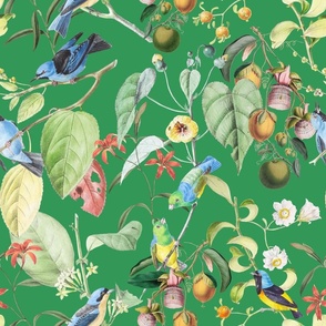 Exotic Summer Rainforest Jungle Beauty:   A Vintage Mysterious Botanical Pattern Featuring leaves blossoms and colorful Tropical birds and fruits on shiny azure green  