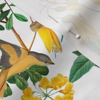 Exotic Summer Rainforest Jungle Beauty:   A Vintage Mysterious Botanical Pattern Featuring leaves, yellow blossoms and colorful Tropical birds and fruits on white