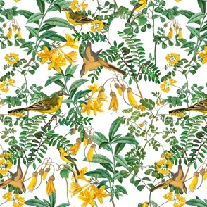 Exotic Summer Rainforest Jungle Beauty:   A Vintage Mysterious Botanical Pattern Featuring leaves, yellow blossoms and colorful Tropical birds and fruits on white