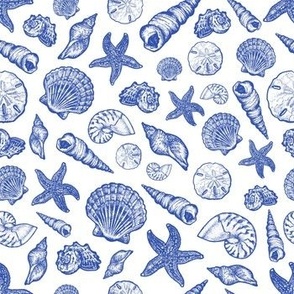 Blue Seashell Print (Small)