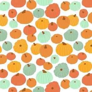  Jarrahdale Pumpkins - Colorful