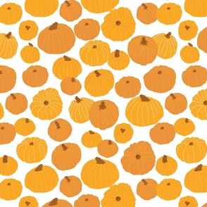 Jarrahdale Pumpkins - Orange with White Background