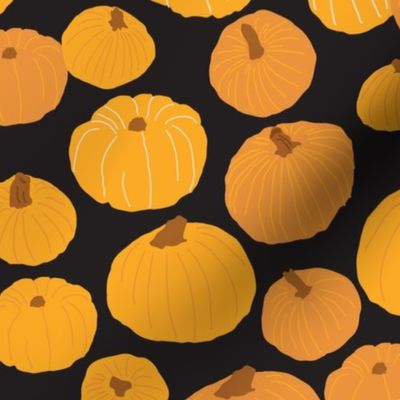   Jarrahdale Pumpkins - Orange and Black