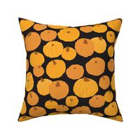   Jarrahdale Pumpkins - Orange and Black