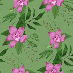 Pink orchids on green background 