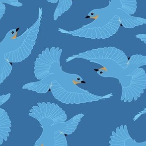 Bluebirds in Flight Scatter on Blue Background 24”