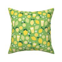 Summer squeeze lemonade - lemons and limes fruit garden drinks and flowers green yellow on grass green