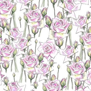 rose watercolor pattern 