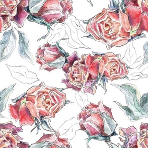 watercolor dried vintage roses