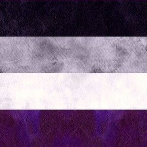 Asexual Pride Flag