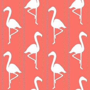 white flamingos stripe on coral