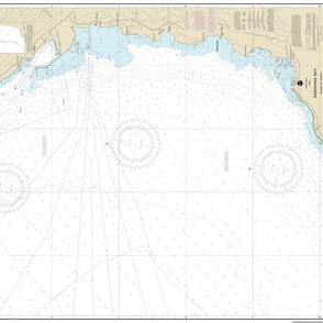 NOAA Kawaihae Bay nautical chart #19330, 42x33" (fits on a yard of any fabric)