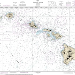 NOAA Hawai'ian Islands nautical chart #19004, 42x32.6" (fits on a yard of any fabric)