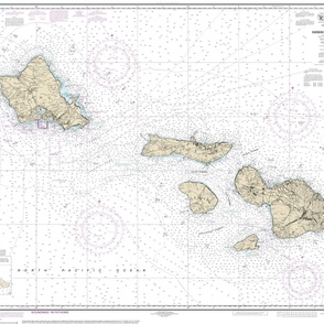 NOAA Hawaiian Islands nautical chart #19340, Hawai'i to O'ahu, 42x32.5" (fits on a yard of any fabric)