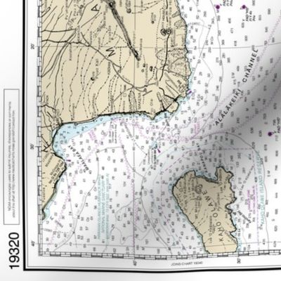 NOAA Island of Hawai'i nautical chart #19320, 42x35.4" (fits on a yard of wider fabrics)
