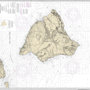 NOAA Island of Hawai'i nautical chart #19320, 42x35.4" (fits on a yard of wider fabrics)