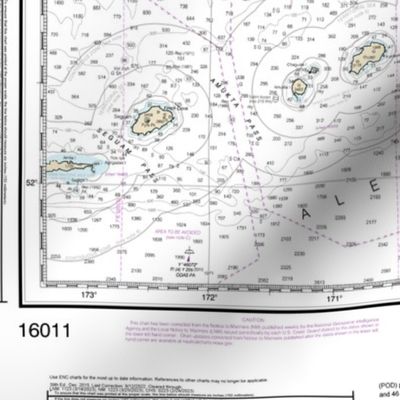NOAA nautical chart #16011, Alaskan Peninsula Aleutian Islands, 42x35.6" (fits on one yard of any fabric) 
