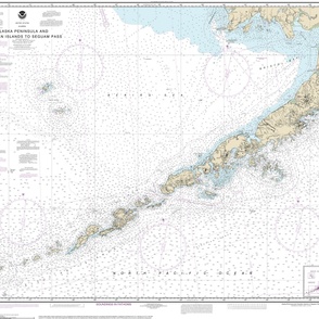 NOAA nautical chart #16011, Alaskan Peninsula Aleutian Islands, 42x35.6" (fits on one yard of any fabric) 