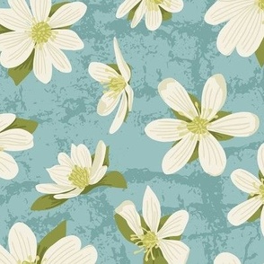 Large Creamy White Buttercup Blue Floral Textured Background