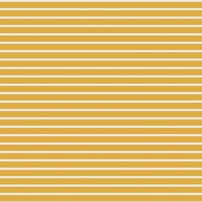 small .5in stripe - goldenrod