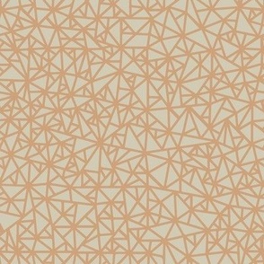 medium // Tiny Triangle Pattern Prism in Apricot on Sage Green // 8”