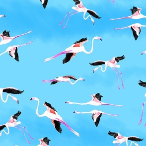 flamingos on a bright blue