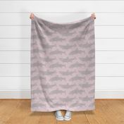 trout_fish-rose-pink_gray