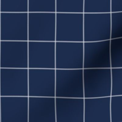 blue plaid window pane