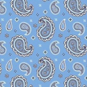 Western paisley blue small scale