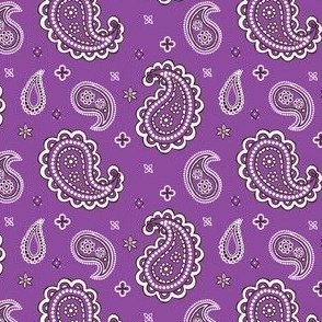 Western paisley purple small scale