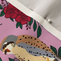 Boho-Chic Wallpaper Falconet Birds in a Garden of Red Roses with Magenta and Pink Background