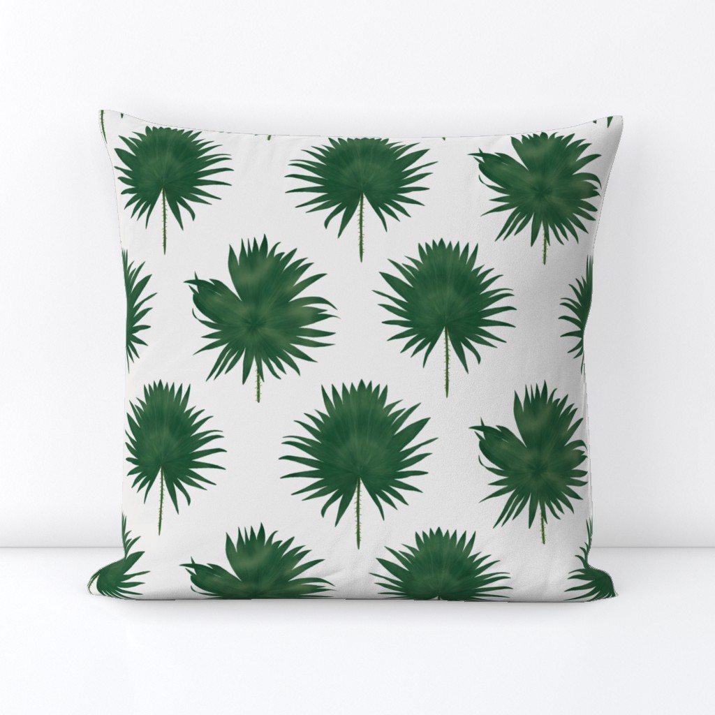 Fan palm leaf on light beige