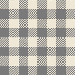 Gingham Check | Ash Gray | Farmhouse and Cottage