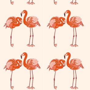 Flamingo