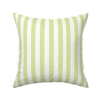 Spring Fresh Pastel Mint and Green and White Stripes L