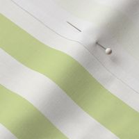 Spring Fresh Pastel Mint and Green and White Stripes L