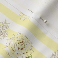 Country Yellow Roses on Yellow and White Stripes  with Alyssum M