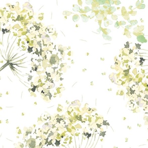 Large Scale | Ethereal Queen's Anne Lace Flowers | Whimsical flowers on white background