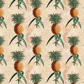 Vintage Pineapples - 8 inch