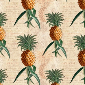 Vintage Pineapples -12 Inch