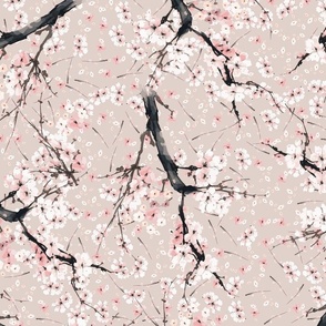 Japanese Sakura Grove | Lovely Pink and white cherry bloossom