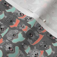 Small Dog pride in solid mint coral bandanas