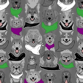 Large Dog pride in purple and green bandanas