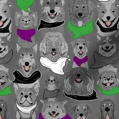 Dog pride in purple and green bandanas