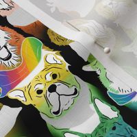 Rainbow Dog pride in bandanas