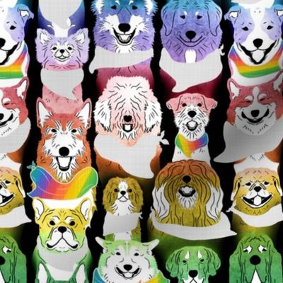 Rainbow Dog pride in bandanas